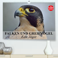 Falken und Greifvögel - Edle Jäger (Premium, hochwertiger DIN A2 Wandkalender 2023, Kunstdruck in Hochglanz)