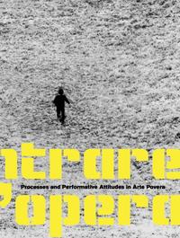 Entrare nell’opera. Prozesse und Aktionen in der Arte Povera