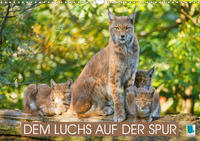 Dem Luchs auf der Spur (Wandkalender 2021 DIN A3 quer)