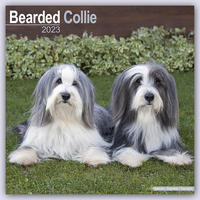 Bearded Collie 2023 - 16-Monatskalender