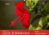 Zarte Schönheiten - Feine HibiskusblütenAT-Version (Wandkalender 2022 DIN A2 quer)