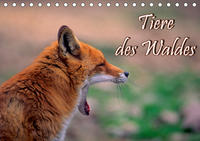 Tiere des Waldes (Tischkalender 2021 DIN A5 quer)