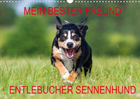 Mein bester Freund - Entlebucher Sennenhund (Wandkalender 2022 DIN A3 quer)