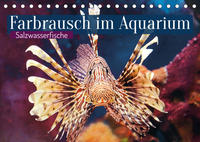 Farbrausch im Aquarium: Salzwasserfische (Tischkalender 2022 DIN A5 quer)