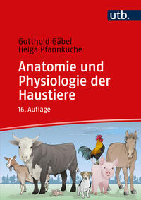 Anatomie und Physiologie der Haustiere