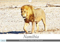 Namibia, Faszination Wüste und Tierwelt (Wandkalender 2022 DIN A4 quer)