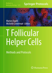 T follicular Helper Cells