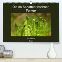 Die im Schatten wachsen - Farne (Premium, hochwertiger DIN A2 Wandkalender 2023, Kunstdruck in Hochglanz)