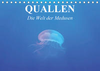 Quallen. Die Welt der Medusen (Tischkalender 2020 DIN A5 quer)