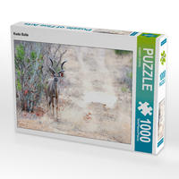 CALVENDO Puzzle Kudu Bulle 1000 Teile Lege-Größe 64 x 48 cm Foto-Puzzle Bild von ROBERT STYPPA