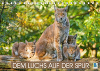 Dem Luchs auf der Spur (Tischkalender 2022 DIN A5 quer)