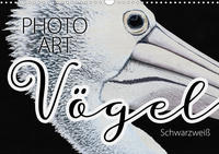 Vögel Schwarzweiß Photo Art (Wandkalender 2021 DIN A3 quer)