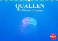 Quallen. Die Welt der Medusen (Wandkalender 2022 DIN A3 quer)