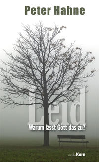 Leid - Warum lässt Gott das zu?