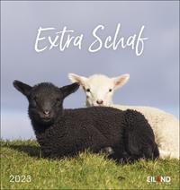 Extra Schaf Postkartenkalender 2023. Ein kleiner Kalender zum Aufstellen und Aufhängen. Süße Schafe in allen Lebenslagen in einem Postkarten-Fotokalender.