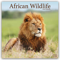 African Wildlife - Afrikanische Tierwelt 2024 – 16-Monatskalender