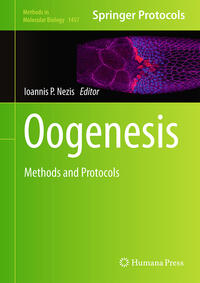 Oogenesis