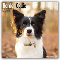 Border Collie 2022 - 16-Monatskalender