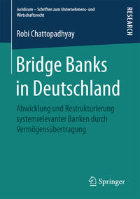 Bridge Banks in Deutschland