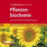 Die Abbildungen des Buches "Pflanzenbiochemie"