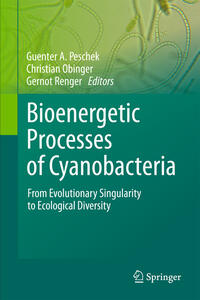 Bioenergetic Processes of Cyanobacteria