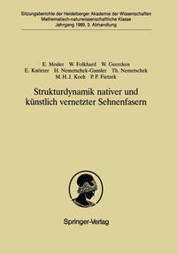 Strukturdynamik nativer und künstlich vernetzter Sehnenfasern