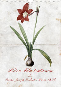 Lilien Illustrationen des Pierre-Joseph Redouté, Paris 1805 (Wandkalender 2021 DIN A4 hoch)