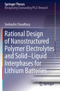 Rational Design of Nanostructured Polymer Electrolytes and Solid–Liquid Interphases for Lithium Batteries