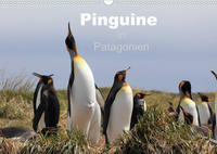 Pinguine in Patagonien (Wandkalender 2022 DIN A3 quer)