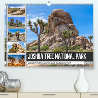 JOSHUA TREE NATIONAL PARK Wüstenimpressionen aus Südkalifornien (Premium, hochwertiger DIN A2 Wandkalender 2021, Kunstdruck in Hochglanz)