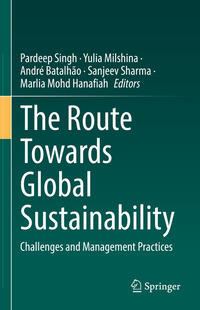 The Route Towards Global Sustainability