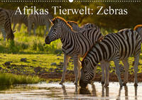 Afrikas Tierwelt: Zebras (Wandkalender 2021 DIN A2 quer)