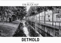 Ein Blick auf Detmold (Wandkalender 2023 DIN A2 quer)