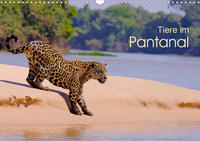 Tiere im Pantanal - viaje.ch (Wandkalender 2021 DIN A3 quer)