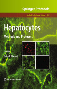 Hepatocytes