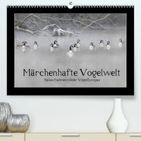 Märchenhafte Vogelwelt (Premium, hochwertiger DIN A2 Wandkalender 2022, Kunstdruck in Hochglanz)