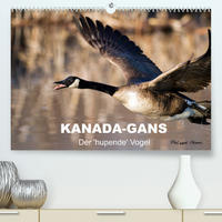 KANADA-GANS - Der 'hupende' Vogel (Premium, hochwertiger DIN A2 Wandkalender 2022, Kunstdruck in Hochglanz)