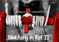 Blickfang in Rot (Wandkalender 2021 DIN A2 quer)