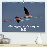 Flamingos der Camargue 2022 (Premium, hochwertiger DIN A2 Wandkalender 2022, Kunstdruck in Hochglanz)