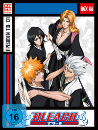 Bleach TV Serie - DVD Box 6 (Episoden 110-131) (4 DVDs)