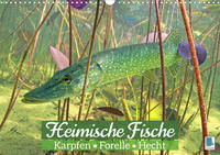 Heimische Fische: Karpfen, Forelle, Hecht (Wandkalender 2023 DIN A3 quer)