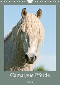 Camargue Pferde - weiße Mähnen (Wandkalender 2023 DIN A4 hoch)