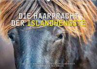 Die Haarpracht der Islandhengste. (Wandkalender 2022 DIN A2 quer)