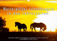 Westerwälder Islandhengste in den Jahreszeiten. (Wandkalender 2022 DIN A3 quer)