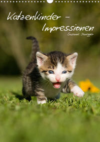 Katzenkinder - Impressionen (Wandkalender 2021 DIN A3 hoch)