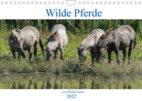 Wilde Pferde von Michael Jaster (Wandkalender 2022 DIN A4 quer)