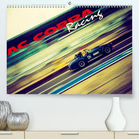 AC Cobra - Racing (Premium, hochwertiger DIN A2 Wandkalender 2023, Kunstdruck in Hochglanz)