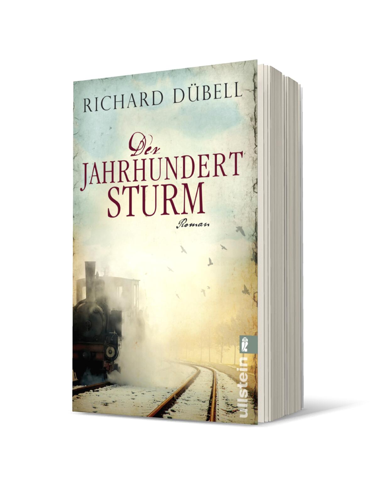 Der Jahrhundertsturm (Jahrhundertsturm-Serie 1)