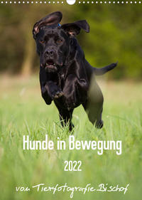 Hunde in Bewegung 2022 von Tierfotografie Bischof (Wandkalender 2022 DIN A3 hoch)