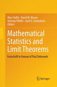 Mathematical Statistics and Limit Theorems